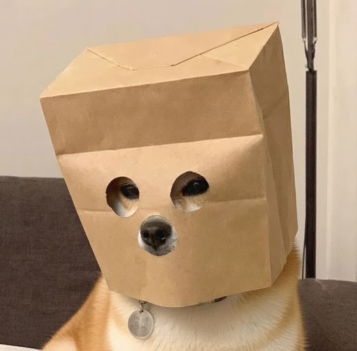 Anonymous Dog logo