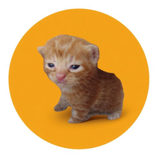 Buy The Cat logo